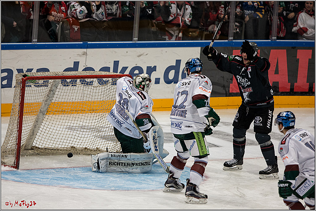 DEL, Koelner Haie - Augsburger Panther, 13.01.2017